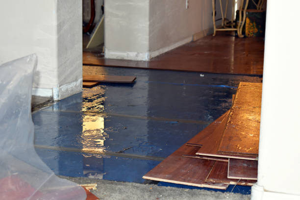 Professional Emergency Water Damage Restoration technician working in Henderson, CO